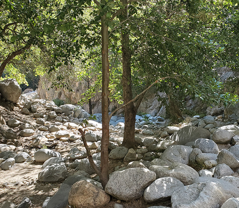 photo of eaton falls trail