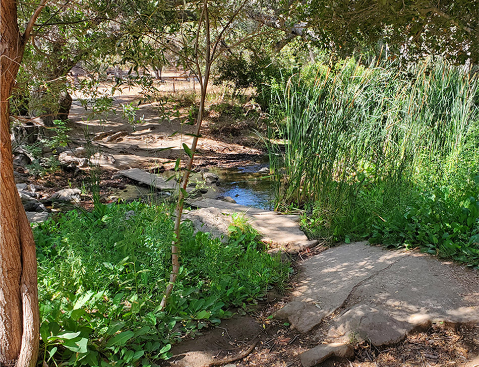 photo of paradise falls trail